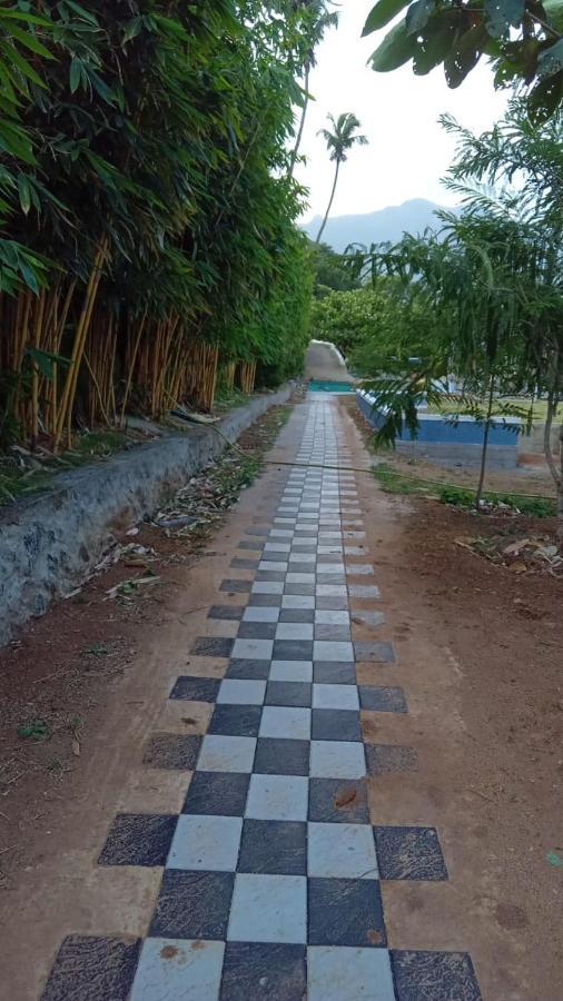 Serene Blossom Valley تينكاسي المظهر الخارجي الصورة