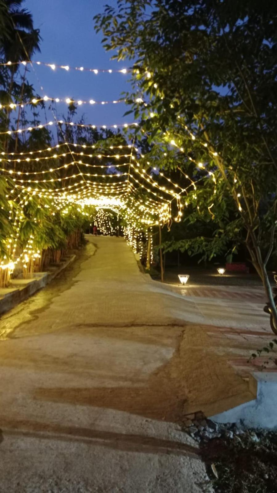 Serene Blossom Valley تينكاسي المظهر الخارجي الصورة